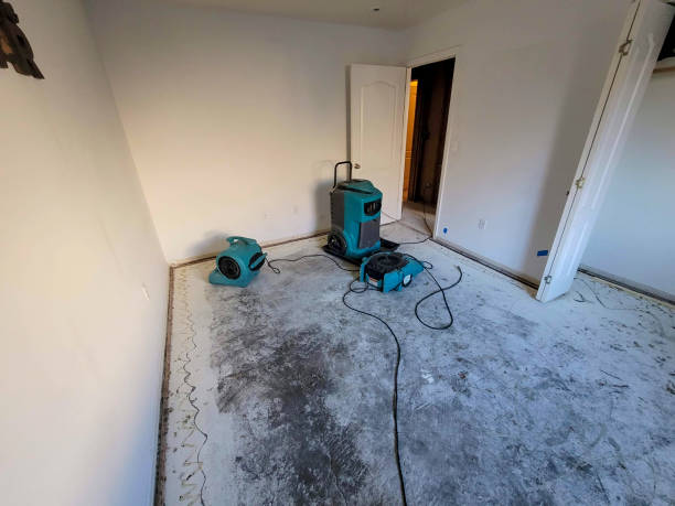 Water damage restoration process in MS