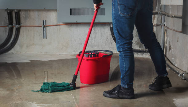 Best Sewage cleanup and water damage restoration  in Eupora, MS