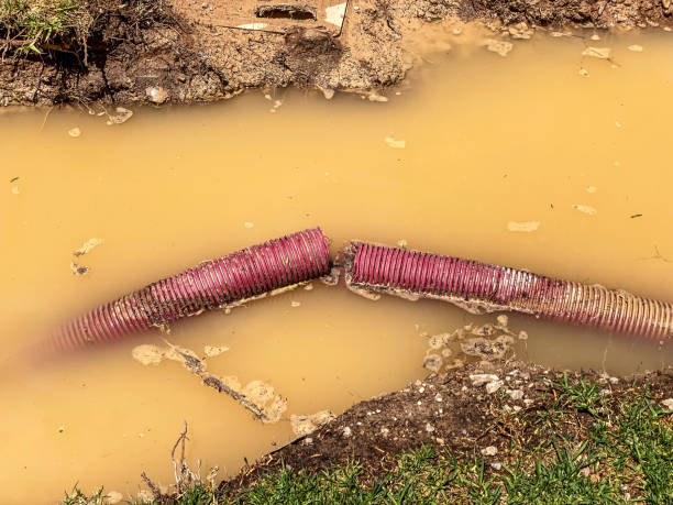 Best Water damage restoration cost  in Eupora, MS